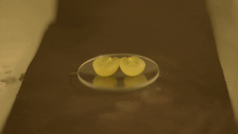 What Happens When You Microwave A Grape: Science Explained