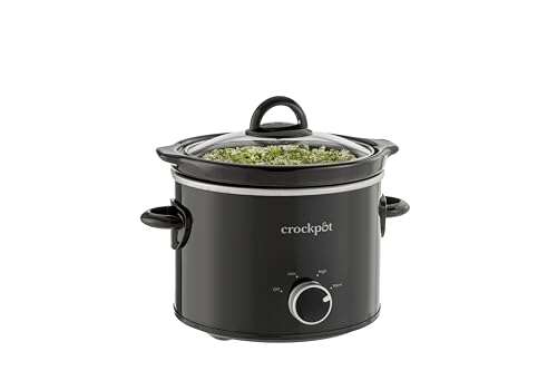 Best Slow Cooker For One Person