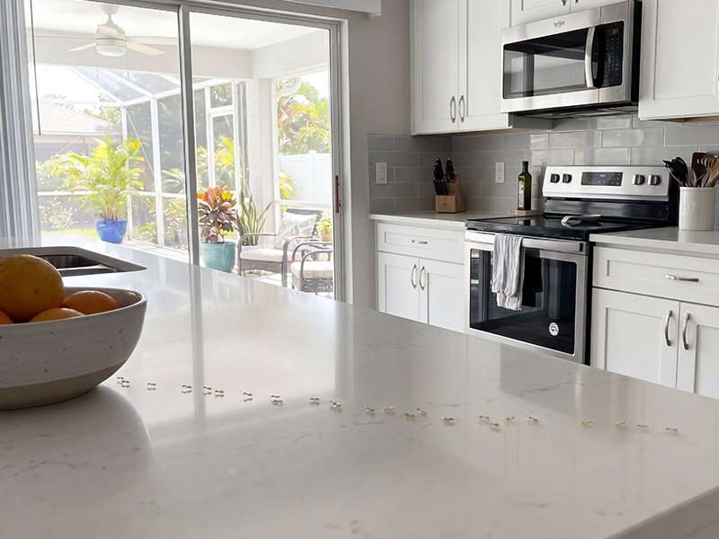 How To Get Rid Of Ants In Microwave Oven