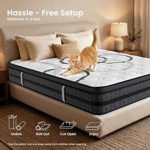 Best Inexpensive Mattress For Lower Back Pain