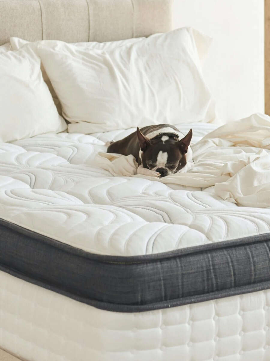 What Is The Softest Mattress You Can Buy