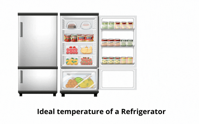 Average Refrigerator Temperature