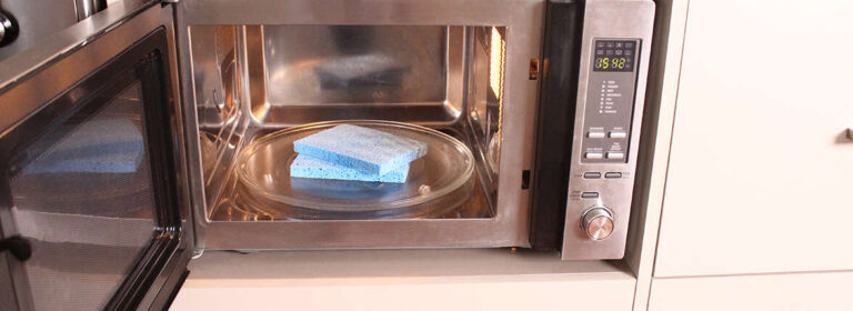 Does 30 Seconds In Microwave Kill Germs