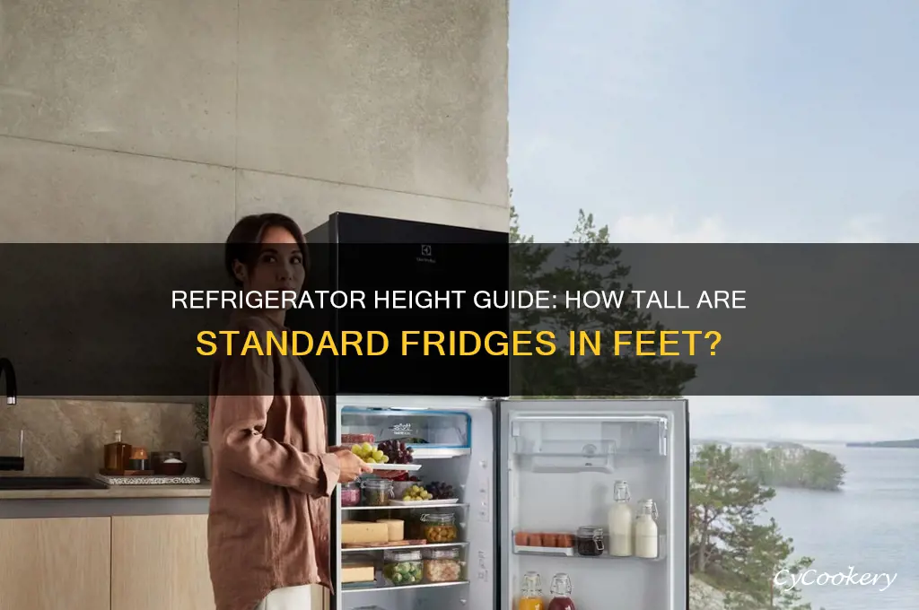 How Tall Is A Frigidaire Fridge In Feet