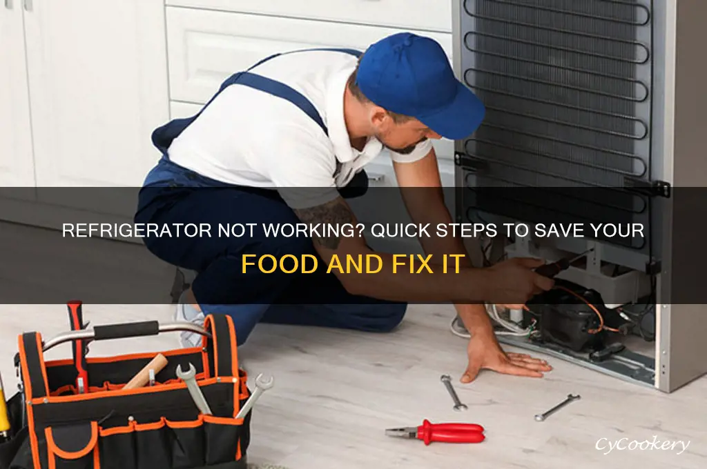 What To Do When The Refrigerator Stops Working